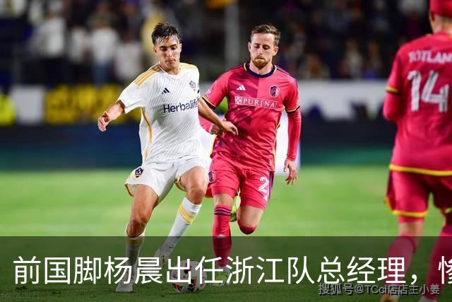 前国脚杨晨出任浙江队总经理，惨败泰山后换血